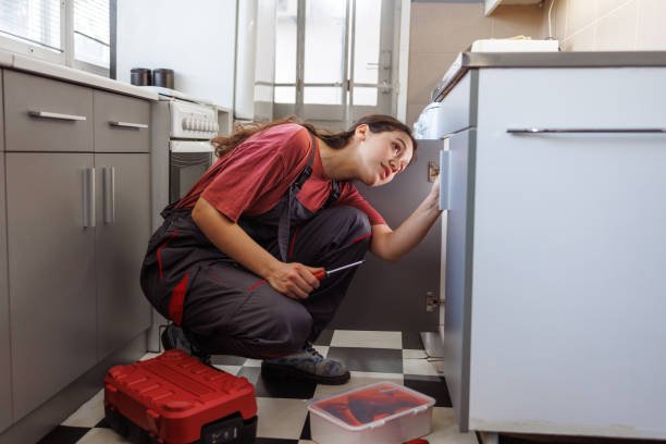 DIY Plumber vs Professional Plumber